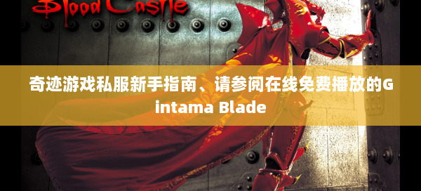 奇迹游戏私服新手指南、请参阅在线免费播放的Gintama Blade - 奇迹私服